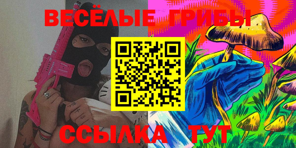 Псилоцибиновые грибы GOLDEN TEACHER  Вход с VPN  Галлюциногенные грибы мицелий  Звенигород 