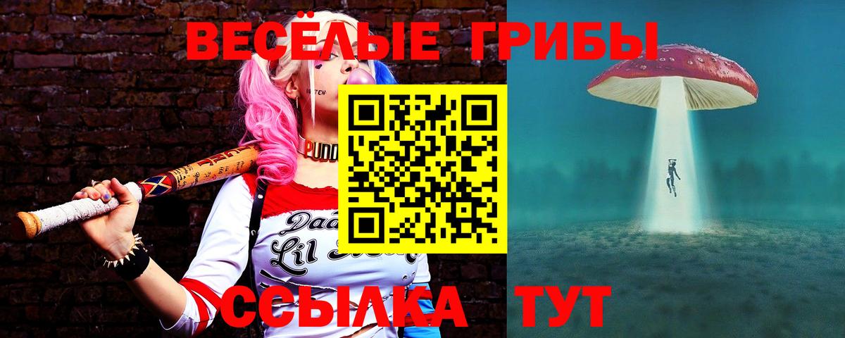 Псилоцибиновые грибы Cubensis Звенигород